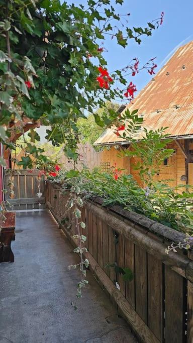 Вилла Le Banc Des Seilles Bonvillard Экстерьер фото